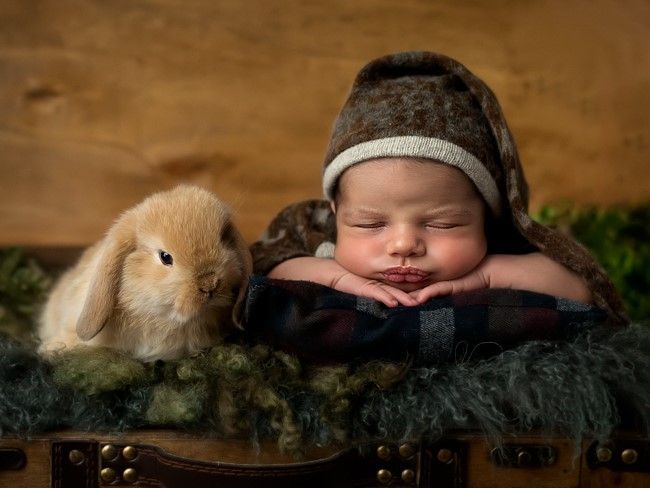 Sesión infantil con conejo · Anyri Photo Art 3