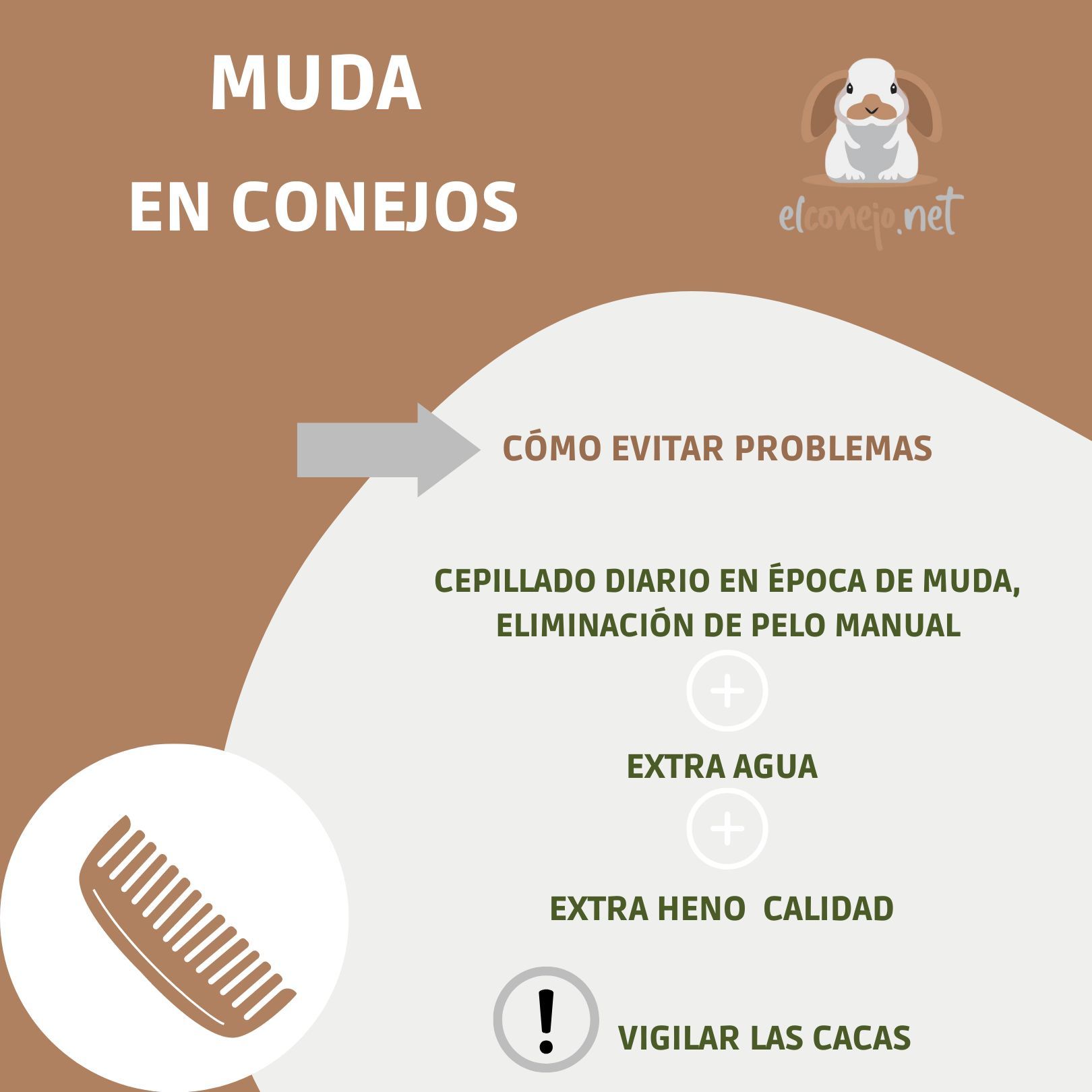 Pelo muerto retirado manualmente durante la muda