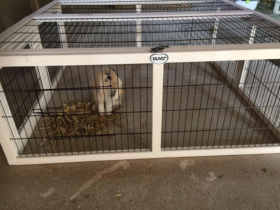 Parques de seguridad