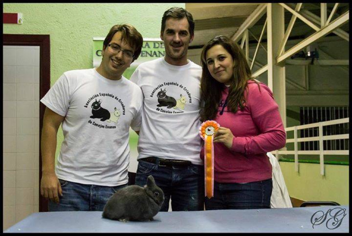 I Exposición Nacional 2013 · Galapagar (Madrid) (10)