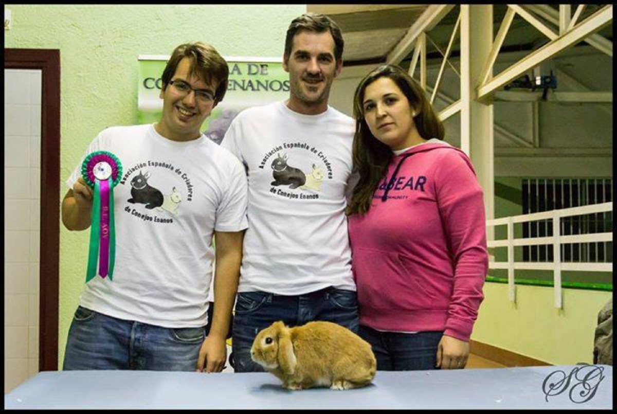 I Exposición Nacional 2013 · Galapagar (Madrid) (6)