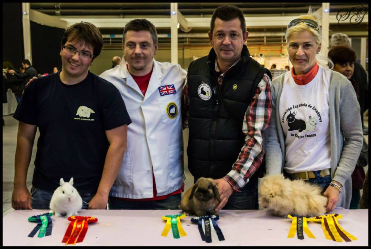 II Exposición Nacional 2014 · Valladolid (6)