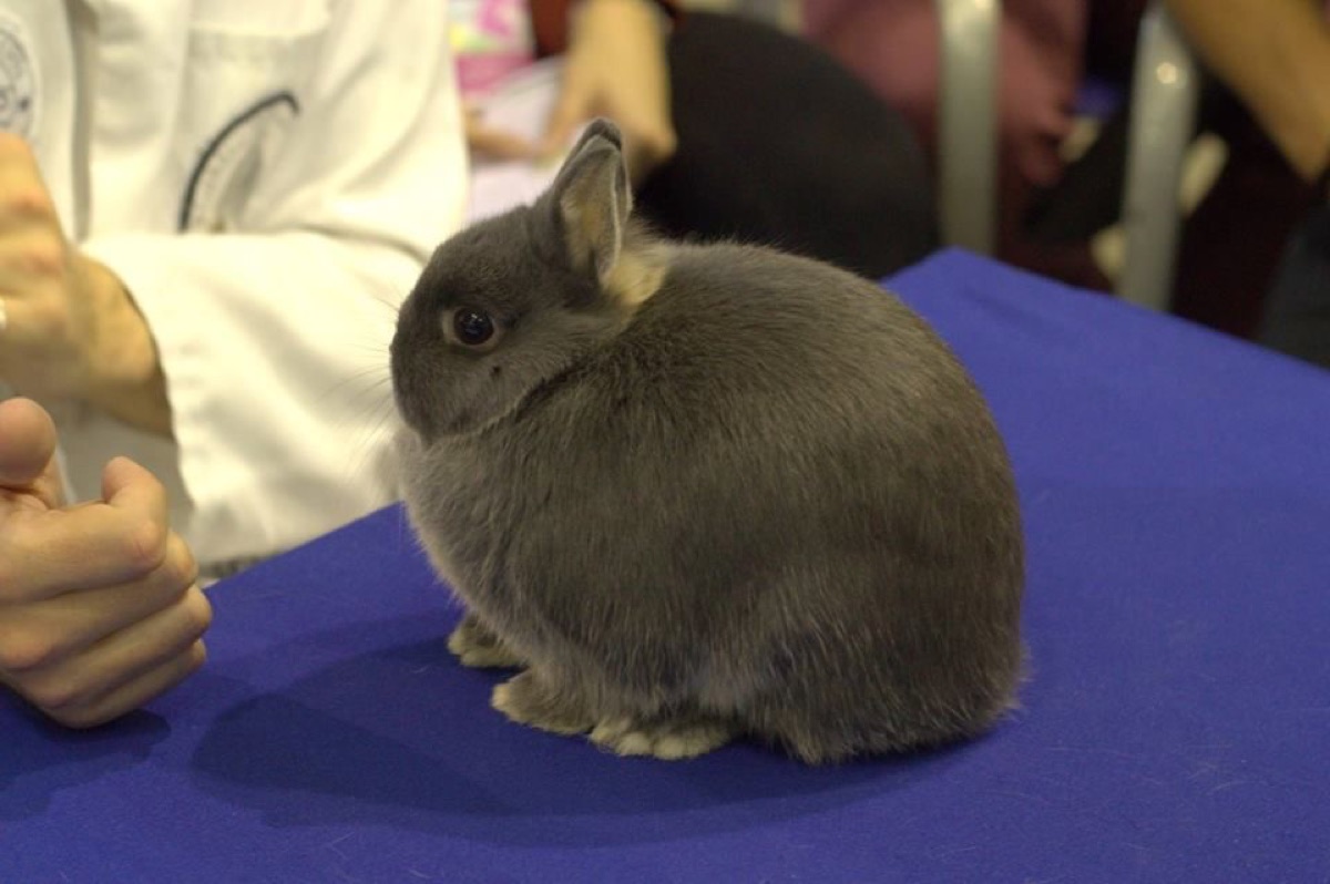 XIV Exposición Nacional 2015 · Málaga (5)